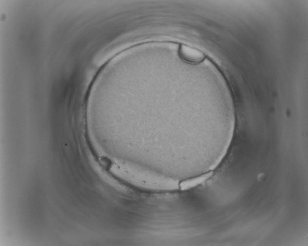 X0000075811526200610061719