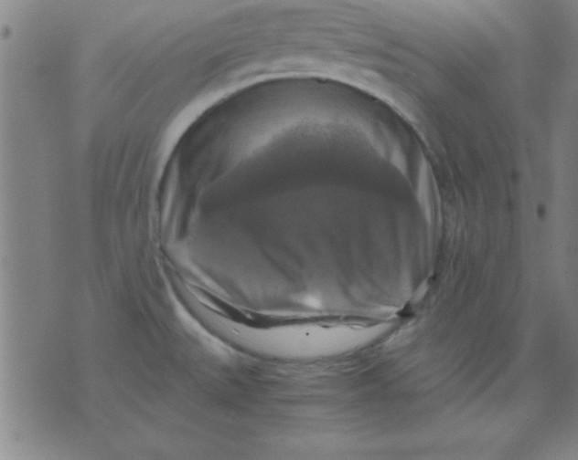 X0000075811527200610061719