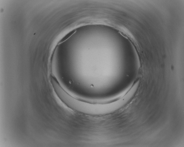 X0000075811528200610061719