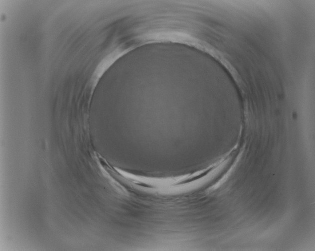 X0000075811529200610061719