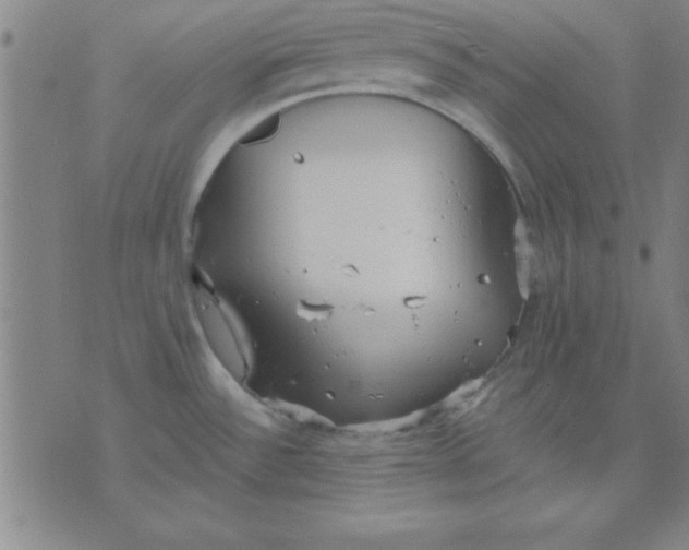 X0000075811532200610061719