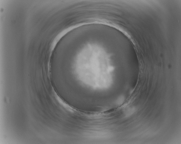 X0000075811535200610061719