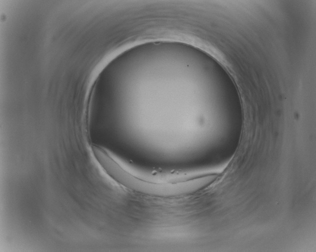 X0000075811536200610061719