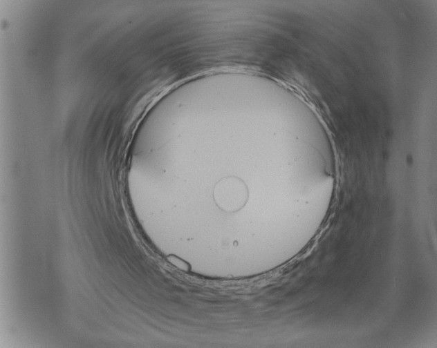 X0000075810001200610151441