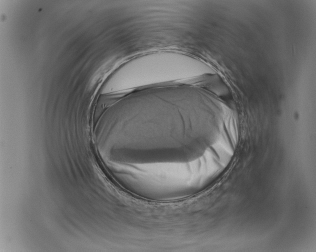 X0000075810002200610151441