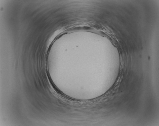 X0000075810003200610151441