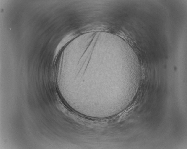 X0000075810004200610151441