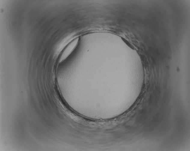 X0000075810005200610151441