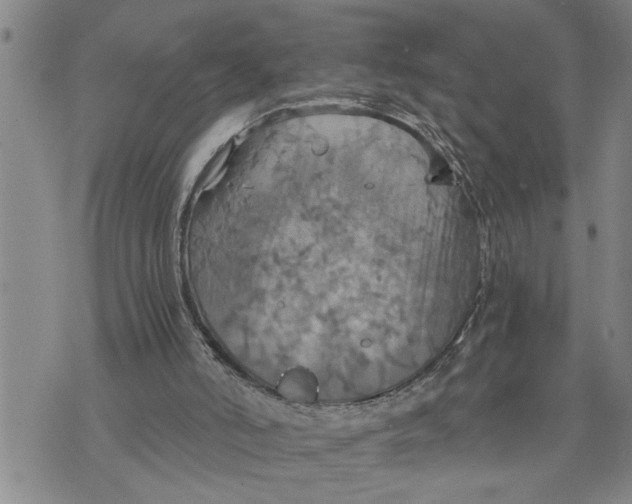 X0000075810006200610151441