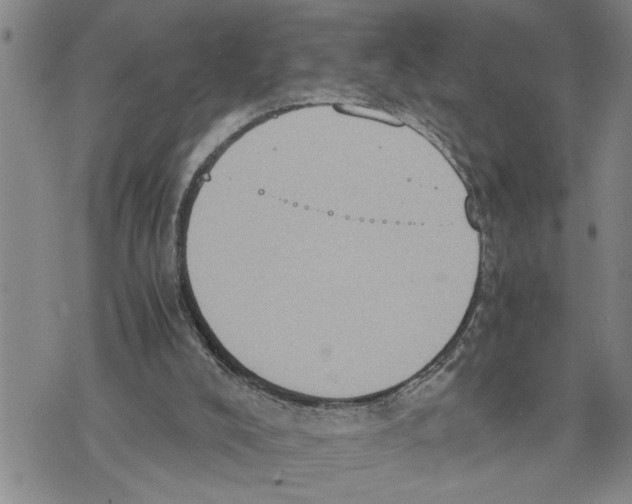 X0000075810008200610151441