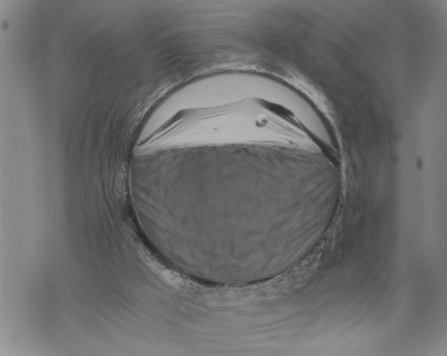 X0000075810009200610151441