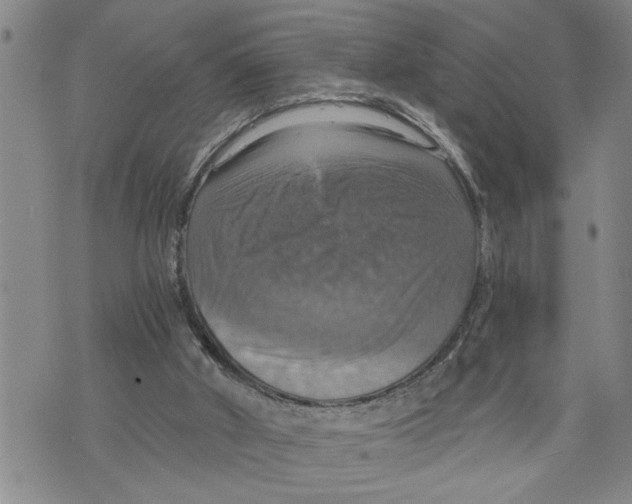 X0000075810010200610151441