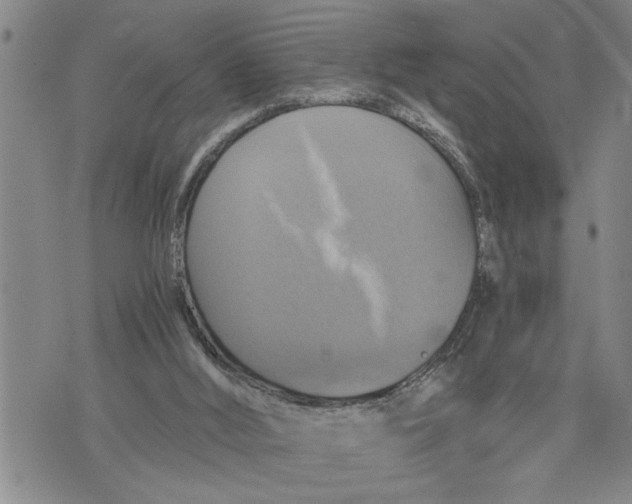 X0000075810012200610151441