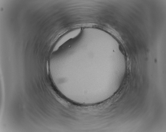 X0000075810013200610151441