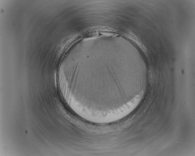 X0000075810014200610151441