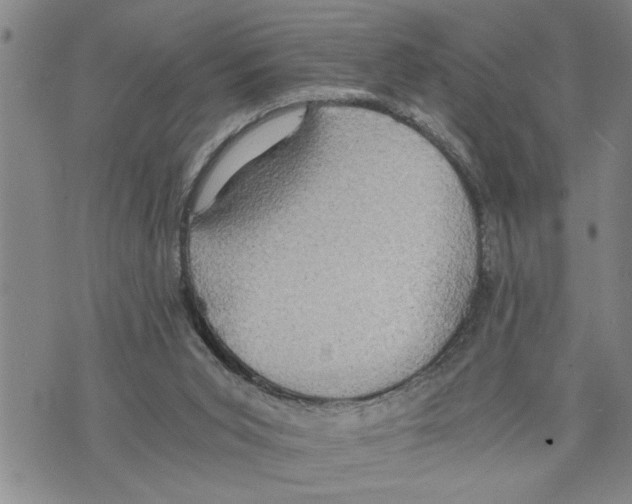 X0000075810015200610151441