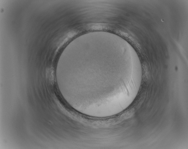 X0000075810016200610151441