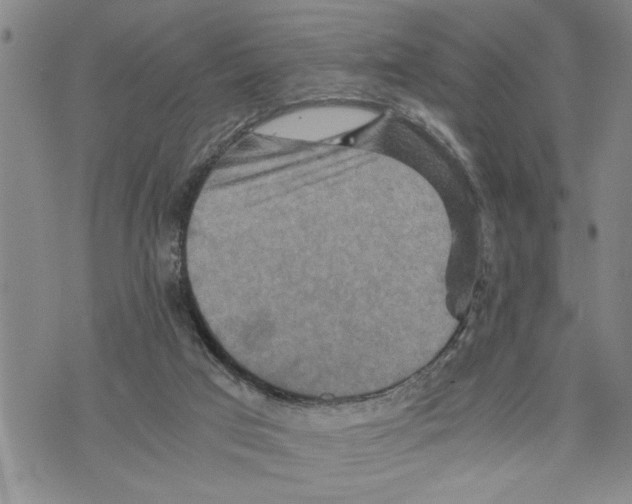 X0000075810017200610151441