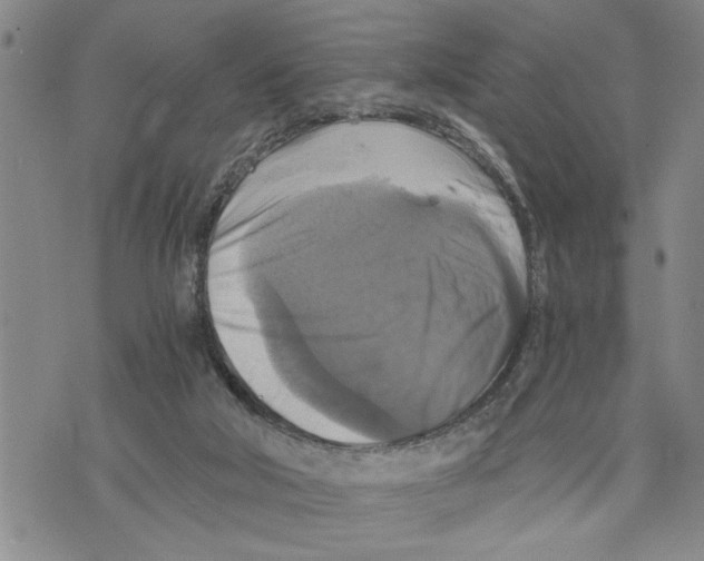 X0000075810018200610151441