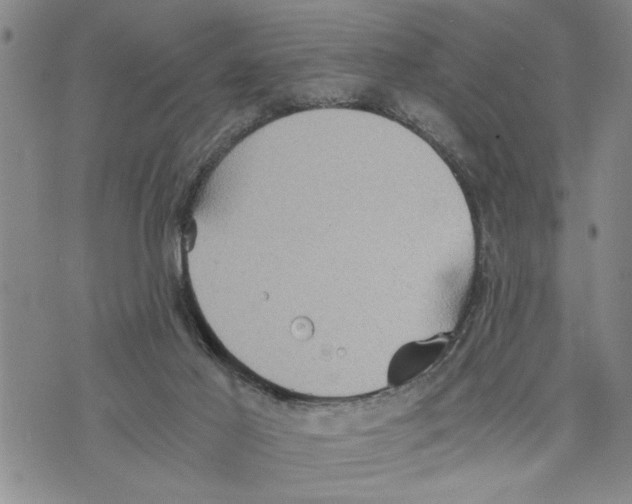 X0000075810021200610151441