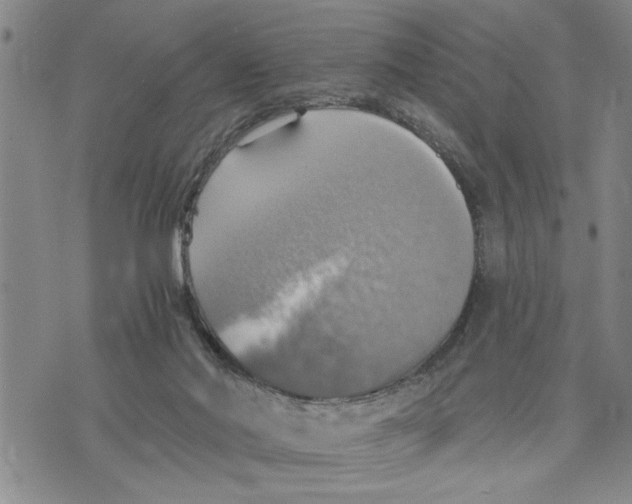 X0000075810022200610151441