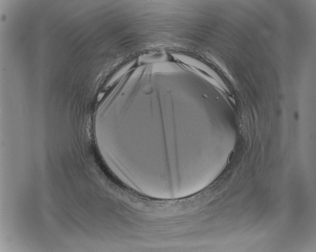 X0000075810023200610151441