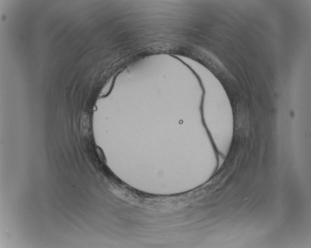 X0000075810025200610151441