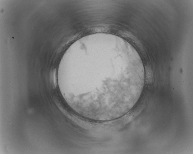 X0000075810028200610151441