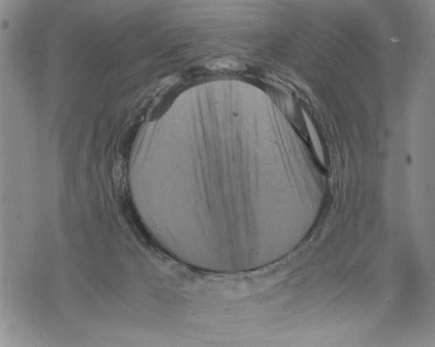 X0000075810029200610151441