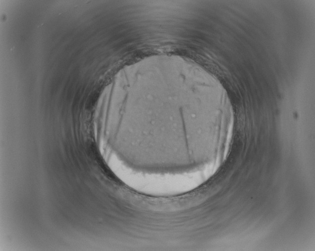 X0000075810030200610151441