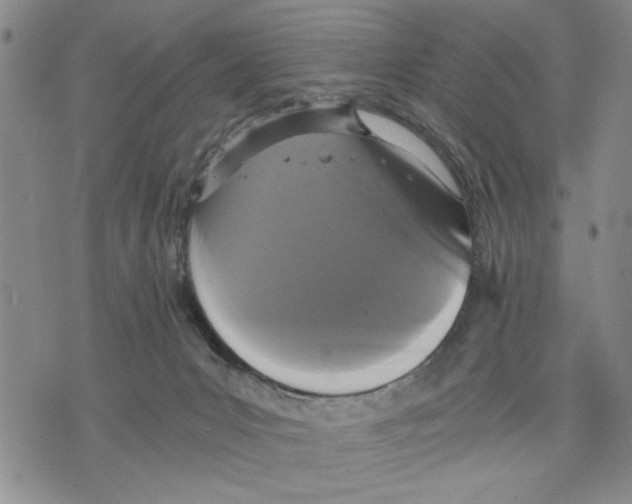 X0000075810031200610151441