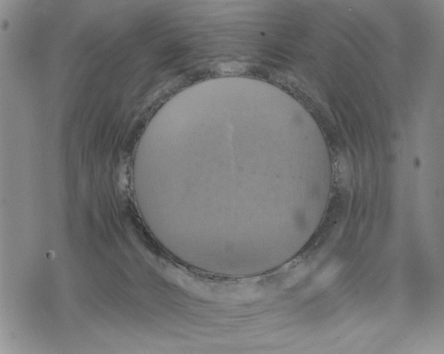 X0000075810032200610151441