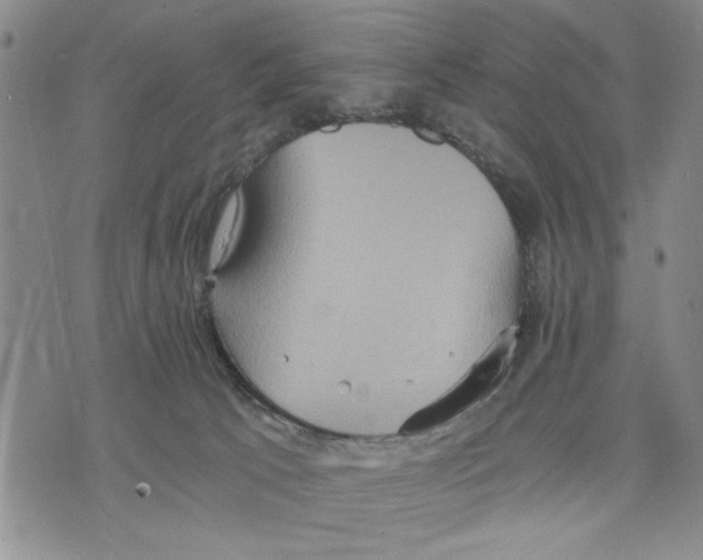 X0000075810033200610151441