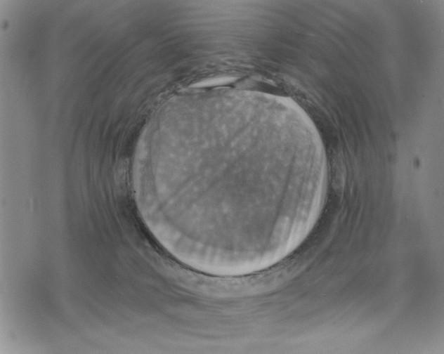 X0000075810034200610151441