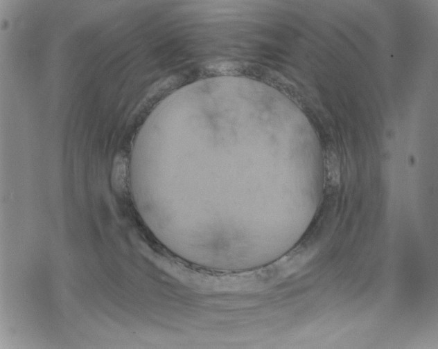 X0000075810036200610151441