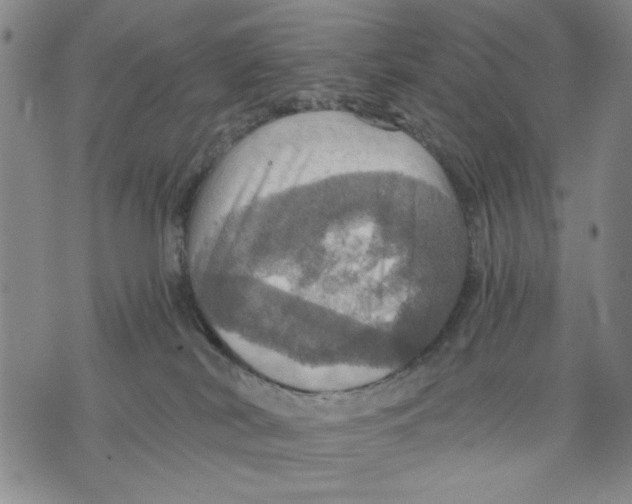 X0000075810038200610151441