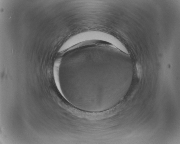 X0000075810039200610151441