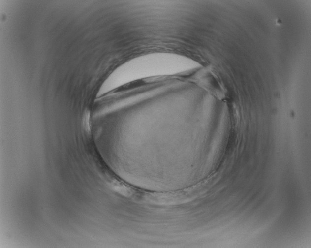 X0000075810041200610151441