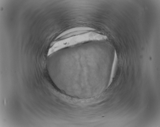 X0000075810043200610151441