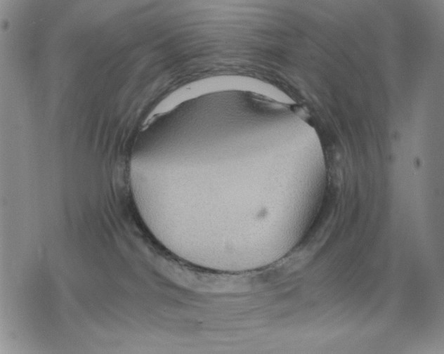 X0000075810044200610151441