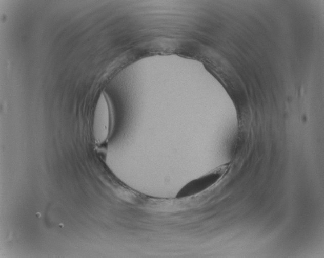 X0000075810045200610151441