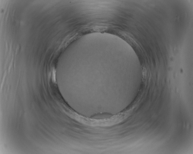 X0000075810046200610151441