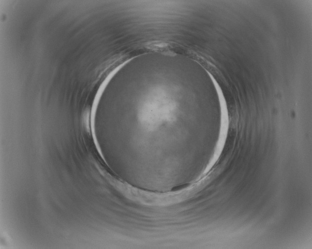 X0000075810047200610151441