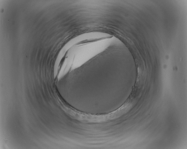 X0000075810048200610151441