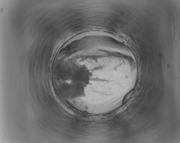 X0000075810049200610151440