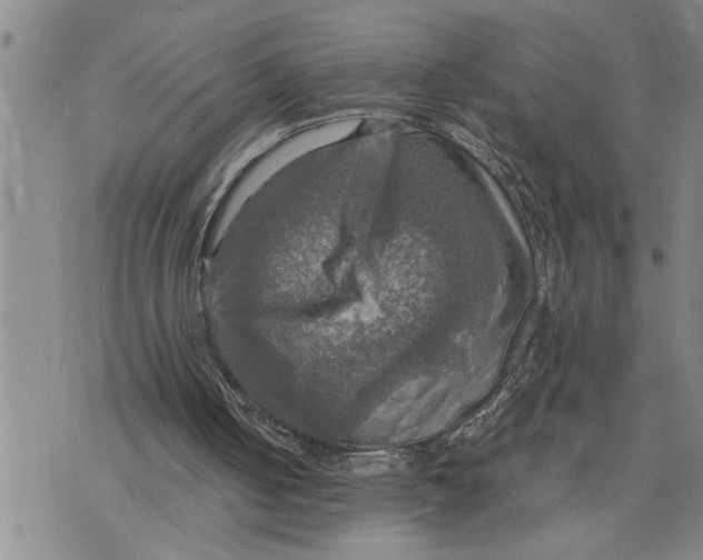 X0000075810050200610151440