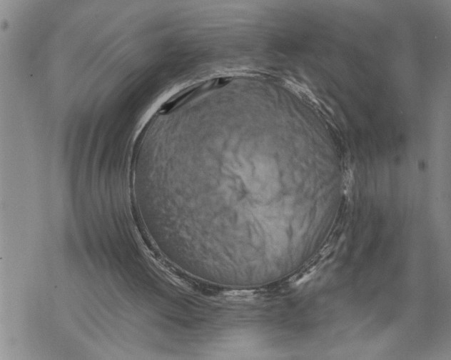 X0000075810052200610151440