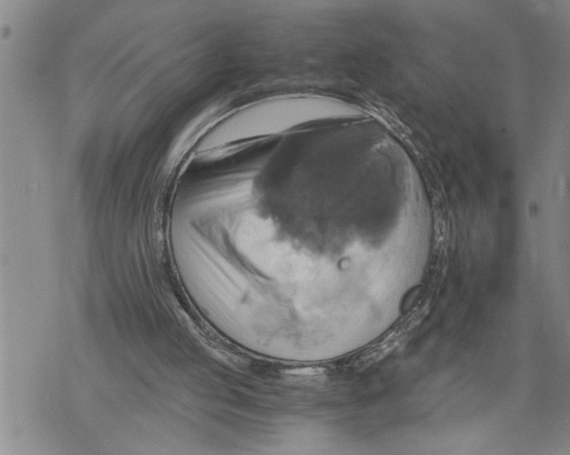 X0000075810053200610151440