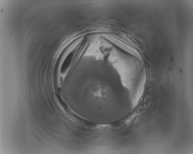 X0000075810055200610151440