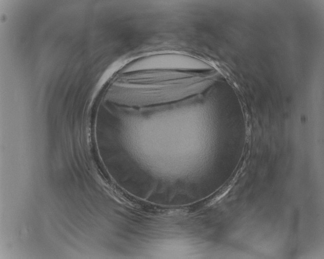 X0000075810056200610151440